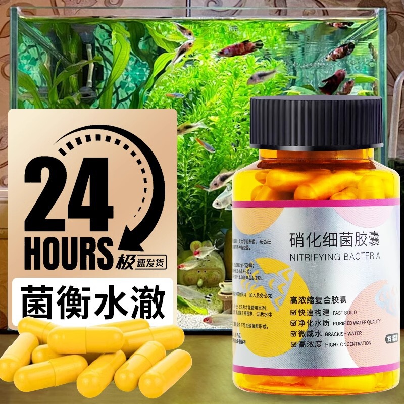 Nitrifying Bacteria Capsule Special Capsule Water Purifying Agent for Fish Tank Granular Dry Powder for Stable Water Quality Purification of Aquarium Fish Nitrifying Bacteria Capsule Special Capsule Water Purifying Agent for Fish Tank Granular Dry Powder for Stable Water Quality Purification of Aquarium Fish