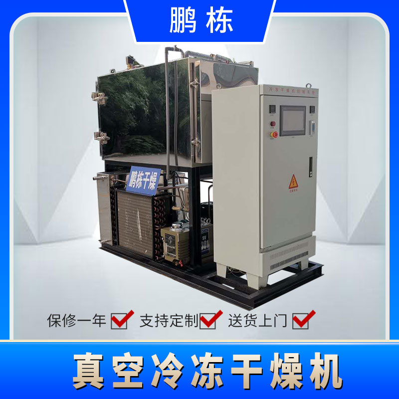 常州鹏栋供应真空冷冻干燥机小型无花果低温冻干机