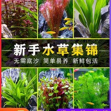 ���wˮ�ݴ��~�ŹھG�쾰���˵�ˮ�m͢������׻����~�׼t��