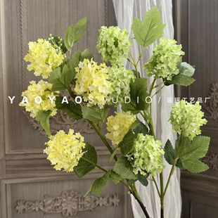 5�^ѩ������ ��c·���ٻ�ľ����zӰ���߷��滨�Ҿ�ܛ�b�Ĕz����