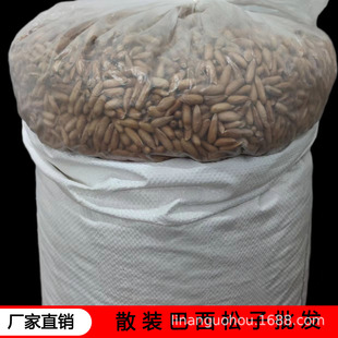 ��؛���������ք����Ӵ��w��ɢ�b5�20���������l���l