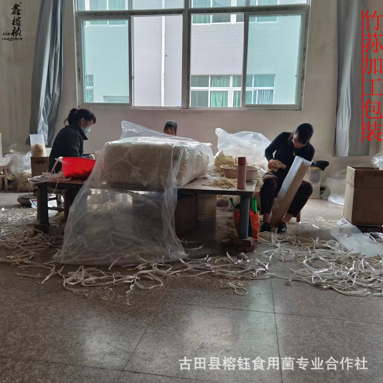 62ed4916eb028549f7cf0a2b9c5e63