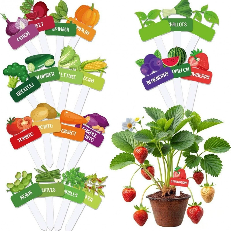 Дропшиппинг JIT: новые акриловые этикетки для овощей и растений с забавным мультяшным логотипом для сада