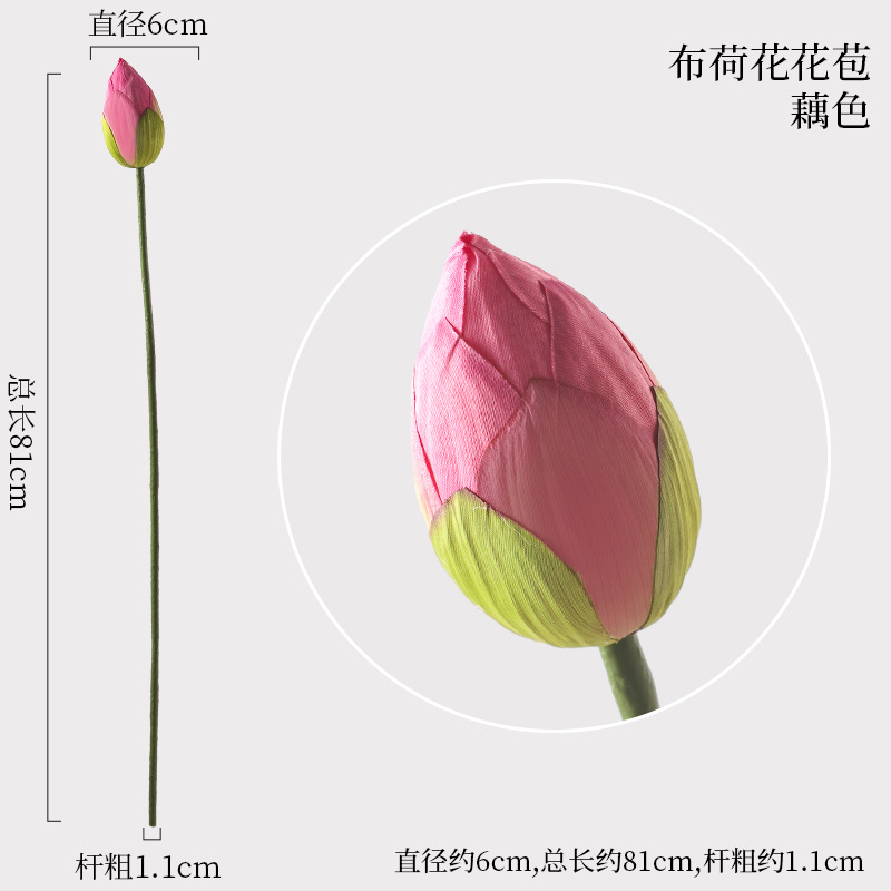 연꽃 봉오리 연꽃 색상