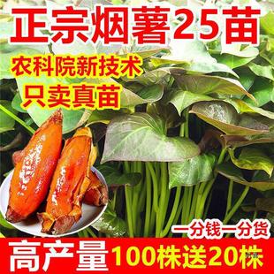 ����̖����ɽ�|��̨�ع���N�t�������r��ԺÓ����������