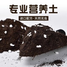 纯羊粪有机肥营养土种植瓜果蔬菜通用款厂家直销可供电一件代发