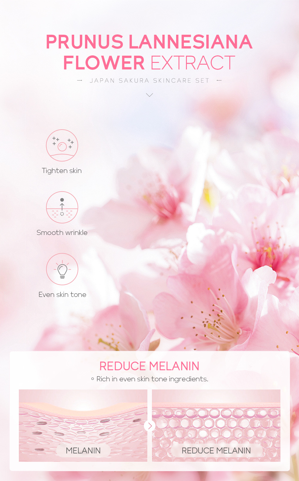 LAIKOU Sakura Skincare Set Image 7