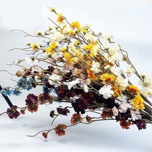 С�Nޱ���Ҿ��b[���������Ƶ��Y�zӰ���ߑ����b��õ��