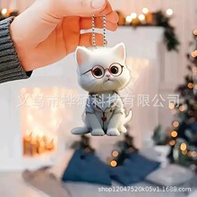 �羳�¿���۾�Сè���عҼ��ǿ���ƽ�泵�ں��Ӿ�װ��Ʒ������׹