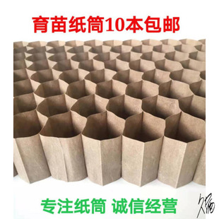 朗lʽ���缈���Nֲ���（����Ͳ���缈�{�����߲˼�Ͳ���籭�N��