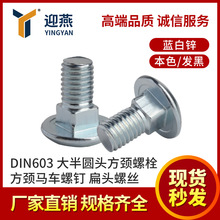 DIN603���Բͷ������˨���������ݶ���ͷ��˿M6-M10