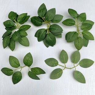 �zӡ����õ���~ ����Gɫ��Ƭõ���~ ���滨��������~���컨���