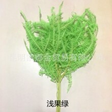 ާҶâݽҶɻƿ ɫҶ ɻ仨