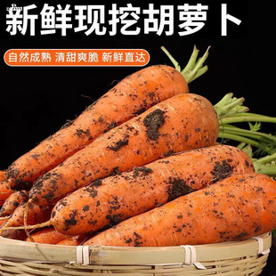 ���r���}��ɳ����ˮ���t�}���F�ڬF�l�r���ԷN�����߲˰��]�羳