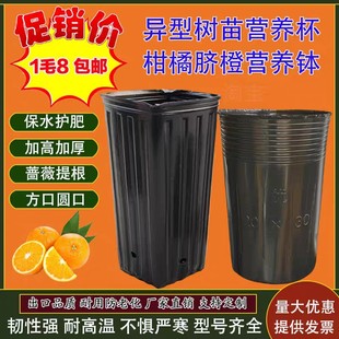 �Ӻ���٠I�B��Ě�����籭�Nޱ������κ�ɫ�I�B��I�B���Ӻ�����