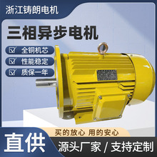 YE3ϵ��1.1kw-30kw���ஐ��늙C4�O늄әC�Cе�L�C3KW���ܸ�Ч