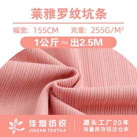 莱雅罗纹坑条 女装连衣裙打底衫布料 涤氨弹力双面螺纹针织面料