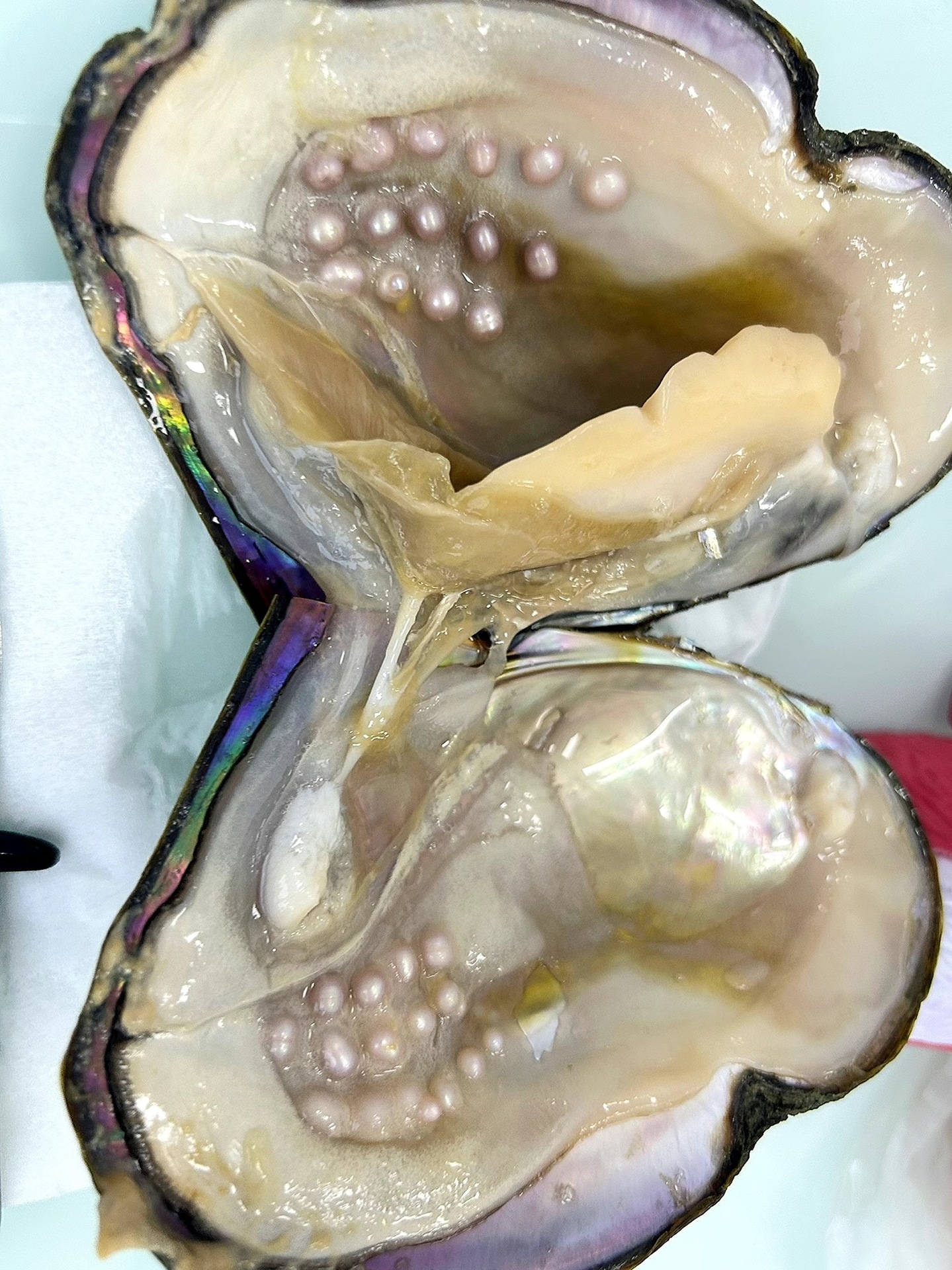 b13e1e71760529aa08cbba1ad2a381