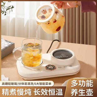 Multi-functional Office Water Boiling Flower Tea Pot Tea Boiling Small Home Appliances Household Mini Glass Decocting Medicine Pot Health Pot Gift