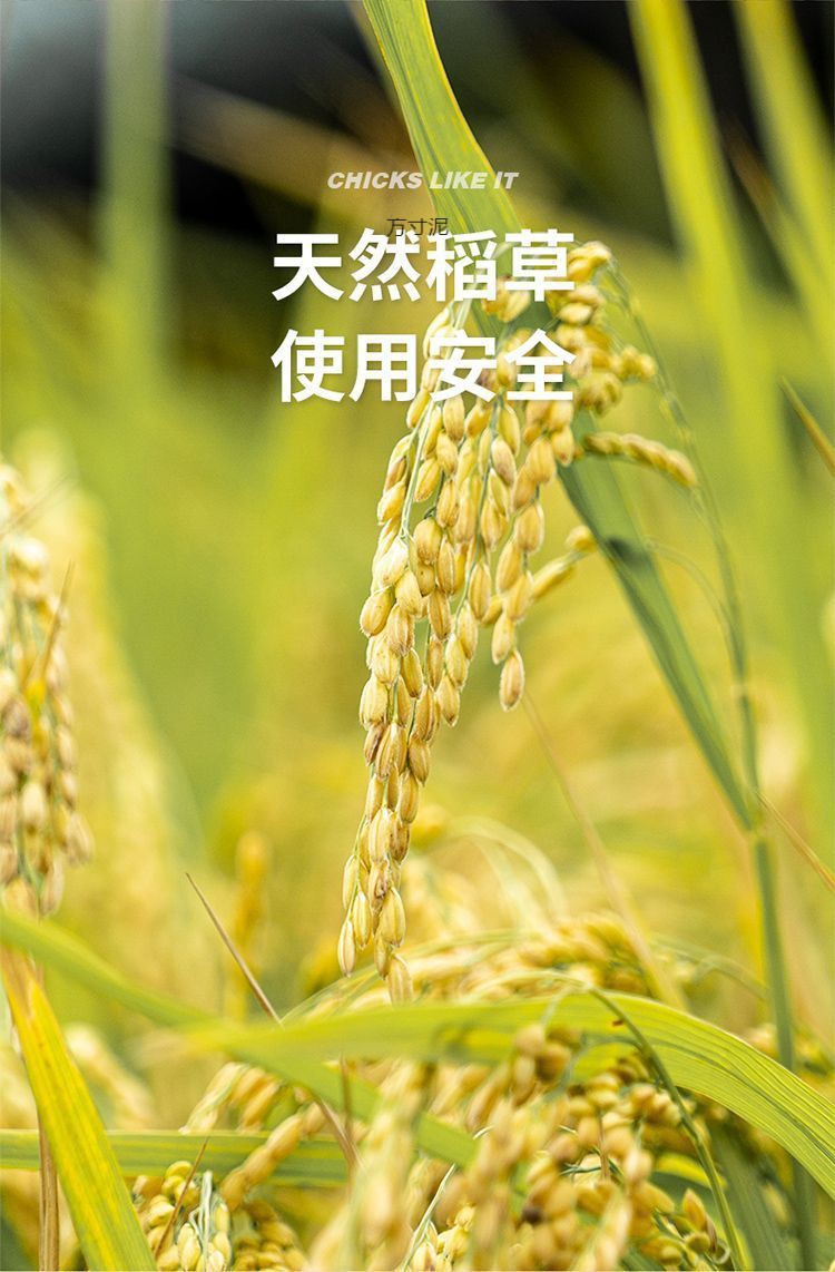 eddbd334-c990-43ab-a719-a390d054f459.jpe