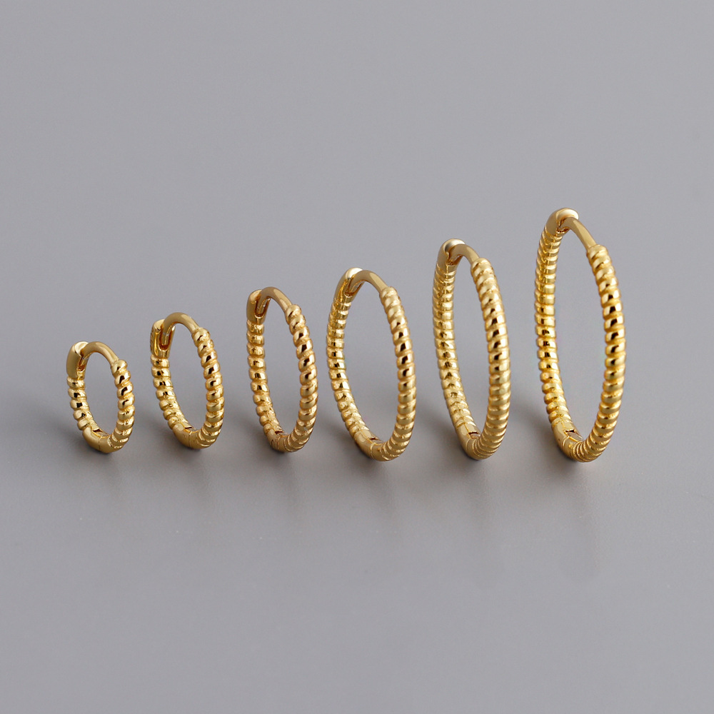 Eh1558 Cross-Border European and American Twist Rope-Shaped Earrings S925 Sterling Silver Earrings High-End Versatile Fashion Earrings for Women