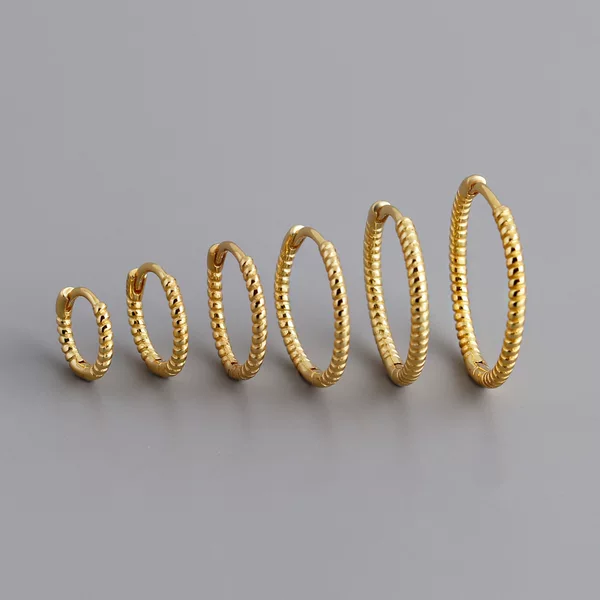 Eh1558 Cross-Border European and American Twist Rope-Shaped Earrings S925 Sterling Silver Earrings High-End Versatile Fashion Earrings for Women