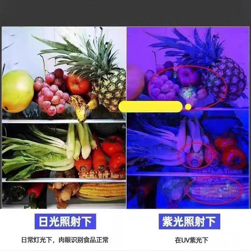 Pantalla de identificación recargable para decoración de uñas, luz de tira para frutas y verduras, lámpara de curado de uñas con detección fluorescente, mini lámpara de curado UV con luz púrpura.