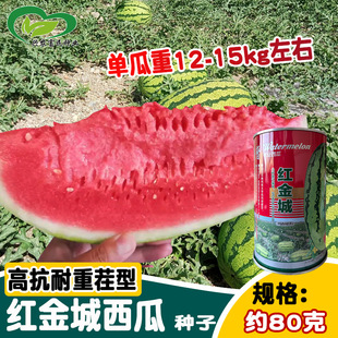 ǧ�ռt������r��̖���ϷN�� �½�������ɰ��ϷN�� ���ˮ����