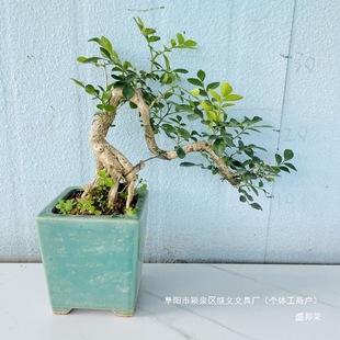 �辰����������҃Ȼ�������_���Ϙ�΢�����辰�Gֲ�����������