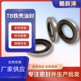 台湾SOG TB85*100/105/110*9/10/12/13外铁壳骨架油封 密封圈