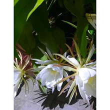 �һ������҃��ֲ̨��һ����辰�һ�һ�F�Gֲ���ܴ󻨝����ʳ��