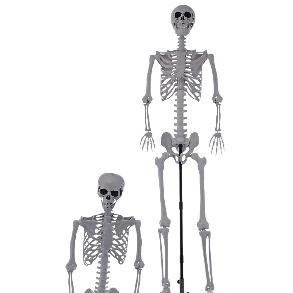 Nuevo esqueleto transfronterizo de 240 cm para Halloween, decoración colgante desmontable, suministro directo de fábrica de Amazon.