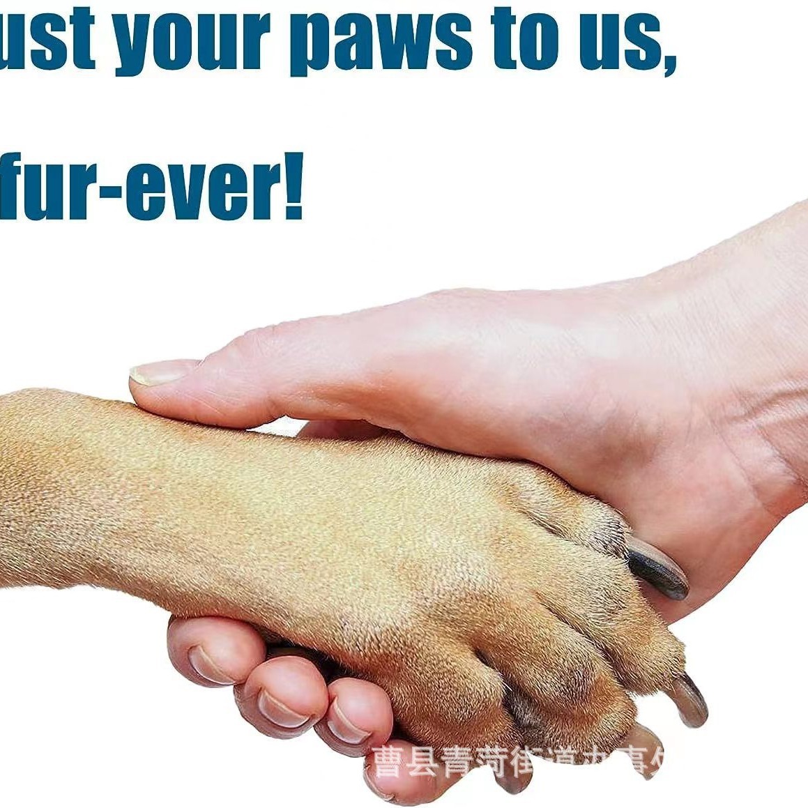 2024-01-15 10:10:00.jpg