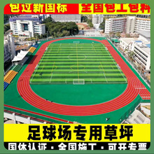 ?�����ƺ�Gɫ���ϵ�̺����䁵��˹��ٲ�Ƥ�؉|�Ә�픷����