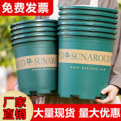 阳台懒人种菜盆加厚塑料花盆家用盆景多肉绿萝专用种植盆厂家批发