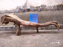 �t��ľ������ë��Ѫ��ë���S���쾰�[�����ְѼ���ľ��ľ�b���