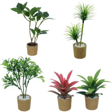 dollhouse����������ģ��6��ֲ�����Է��������~����[��bjd΢�s