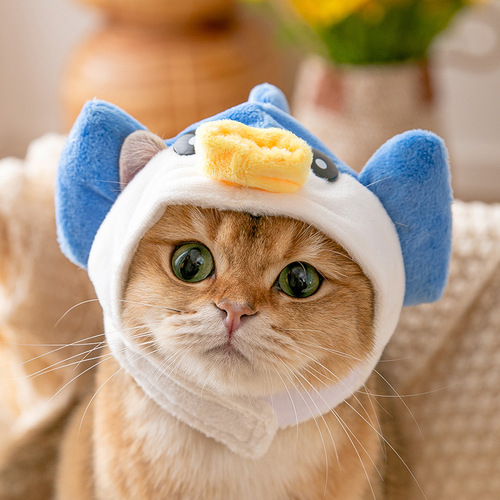Cute Funny Cat Playful Pet Headgear Small Dog Cartoon Decorative Hat Small Dog Headwear Pet Supplies