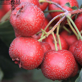 ���rɽ髹��´�ɽ髬Fժ�F�lɽ��t��ɽ髸��Ǻ��J��Ҏ��羳���