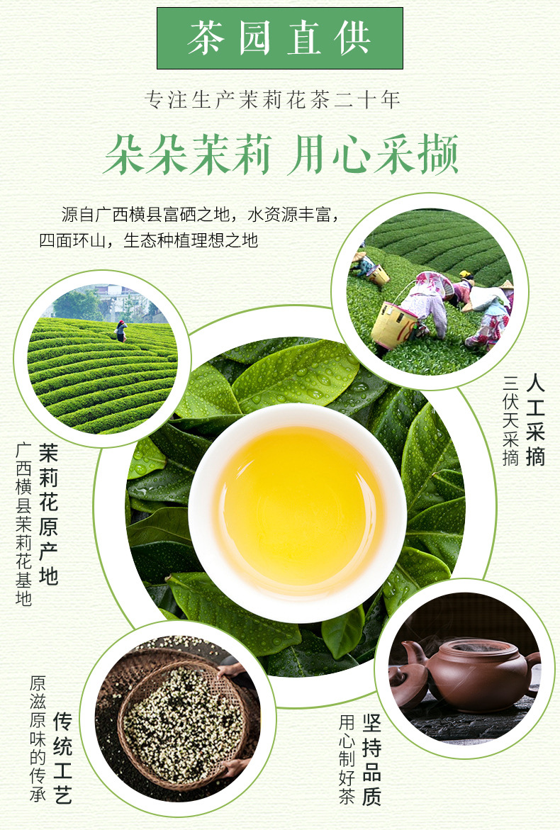 2025新茶蜀茗润飘雪四川雅安茉莉花茶散装茶叶花毛峰浓香一件代发