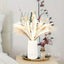 ˹СJȔβݷm˲ȼҾb