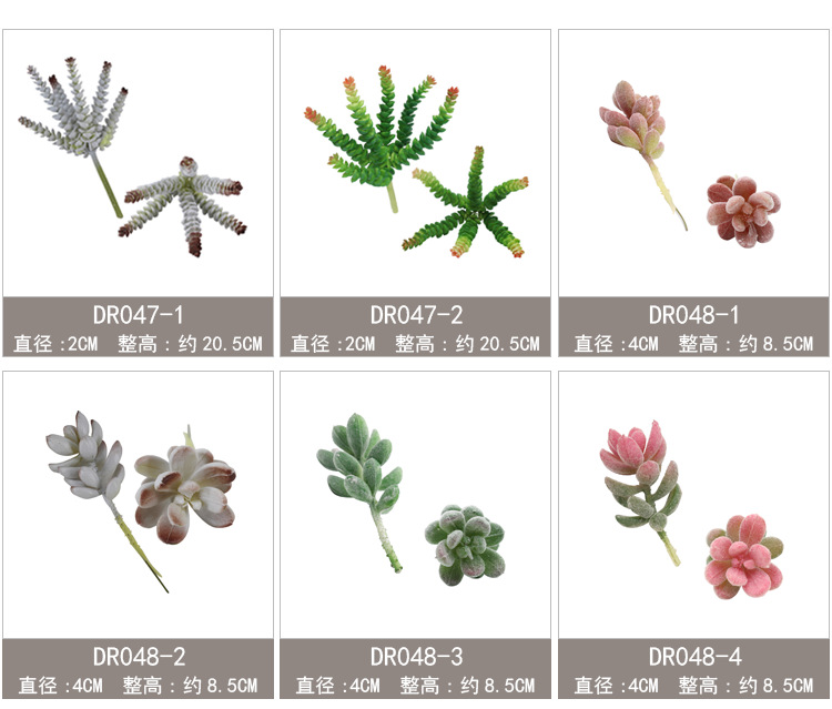 新单枝模板47-59_03