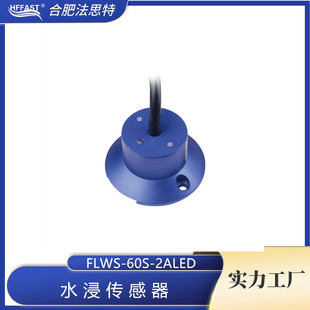 ����©ˮ̽�y���m��܇��C����վ��FLWS-60S-2Aˮ������������