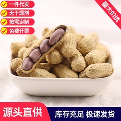 新货龙岩湿烤花生农家红衣紫衣花生米福建盐水煮花生闽西特产批发