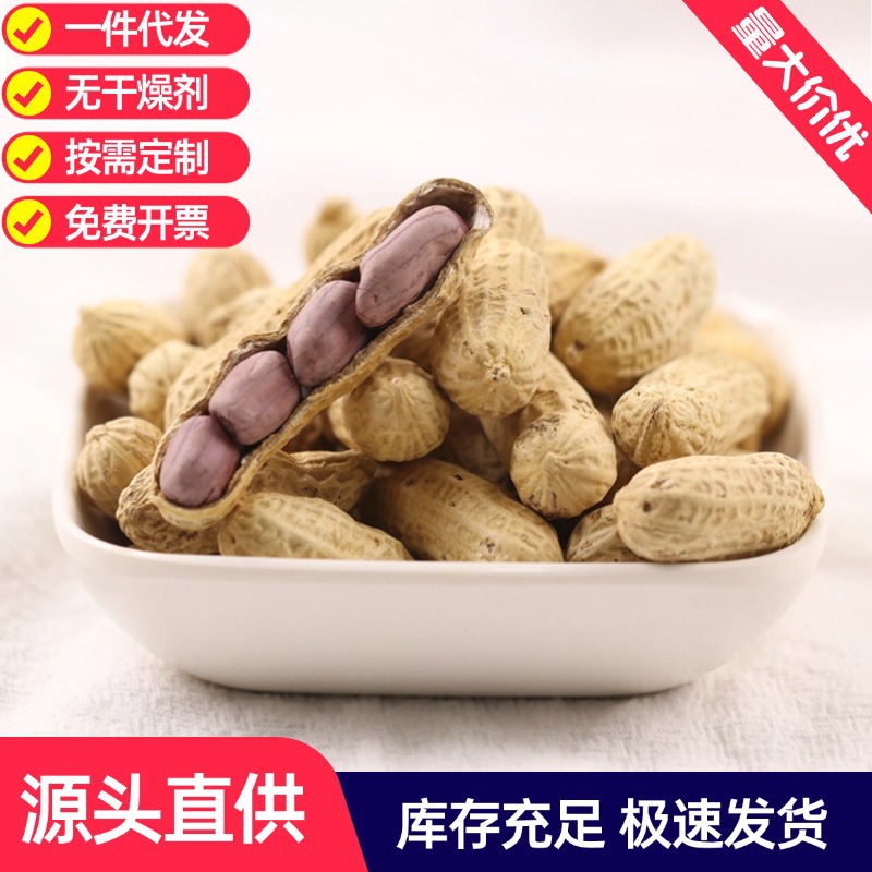 新货龙岩湿烤花生农家红衣紫衣花生米福建盐水煮花生闽西特产批发