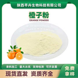 橙子粉水溶性橙汁粉甜橙粉香橙粉橙子果粉橙子浓缩粉1kg现货包邮