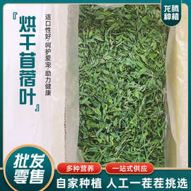 新苜蓿草兔子批发烘干紫花苜蓿叶 兔草龙猫粮 箱装