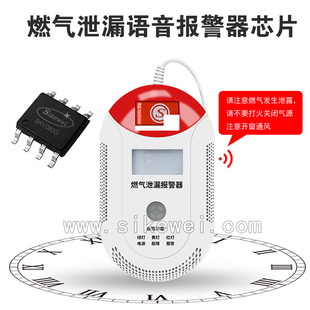 ȼ��й©�����Z��оƬ SKV һ����̼ú����Ȼ��̽�y�x�Z��