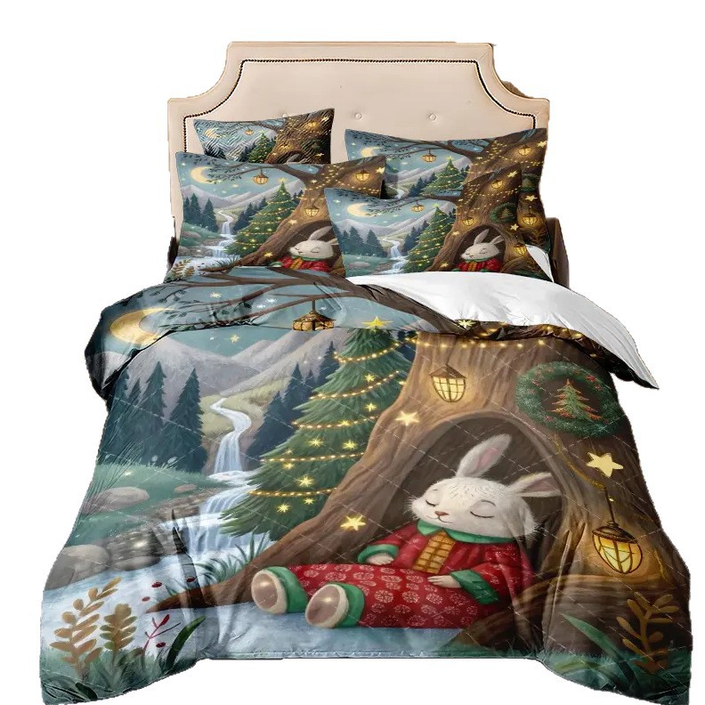 TEMU / JIT Amazon transfronterizo calzado abrigo impresión digital HD conjunto de edredón de pelo para diseñar