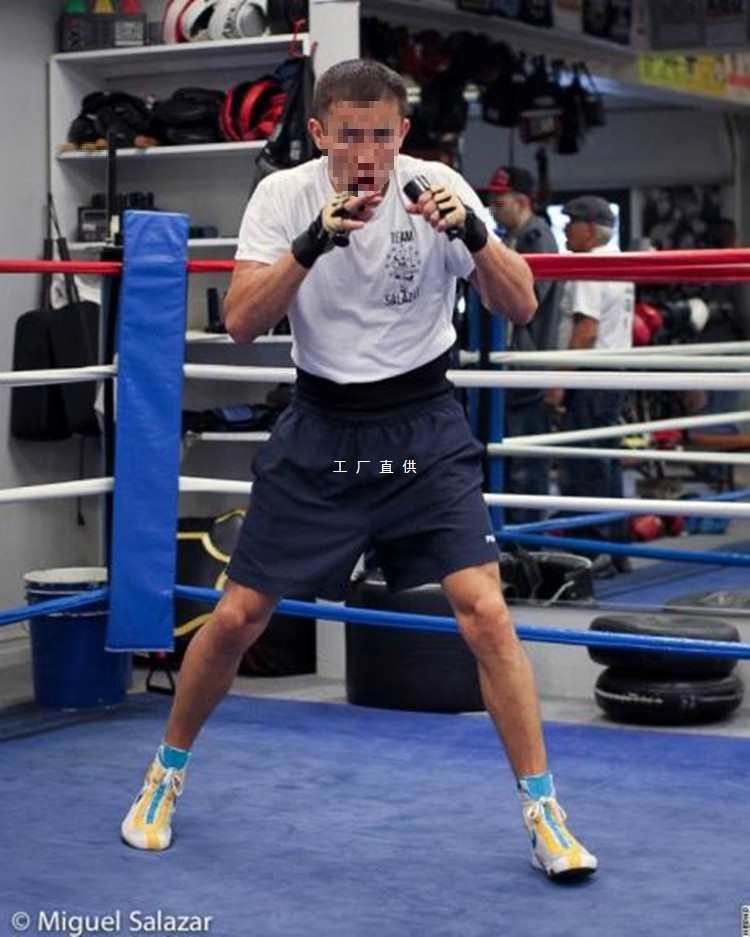 Golovkin Dumbbell Boxing Hand Bell Empty Strike Corrects Boxing Peak Point Boxing Speed Navigation Weight-bearing Endurance Small Barbell